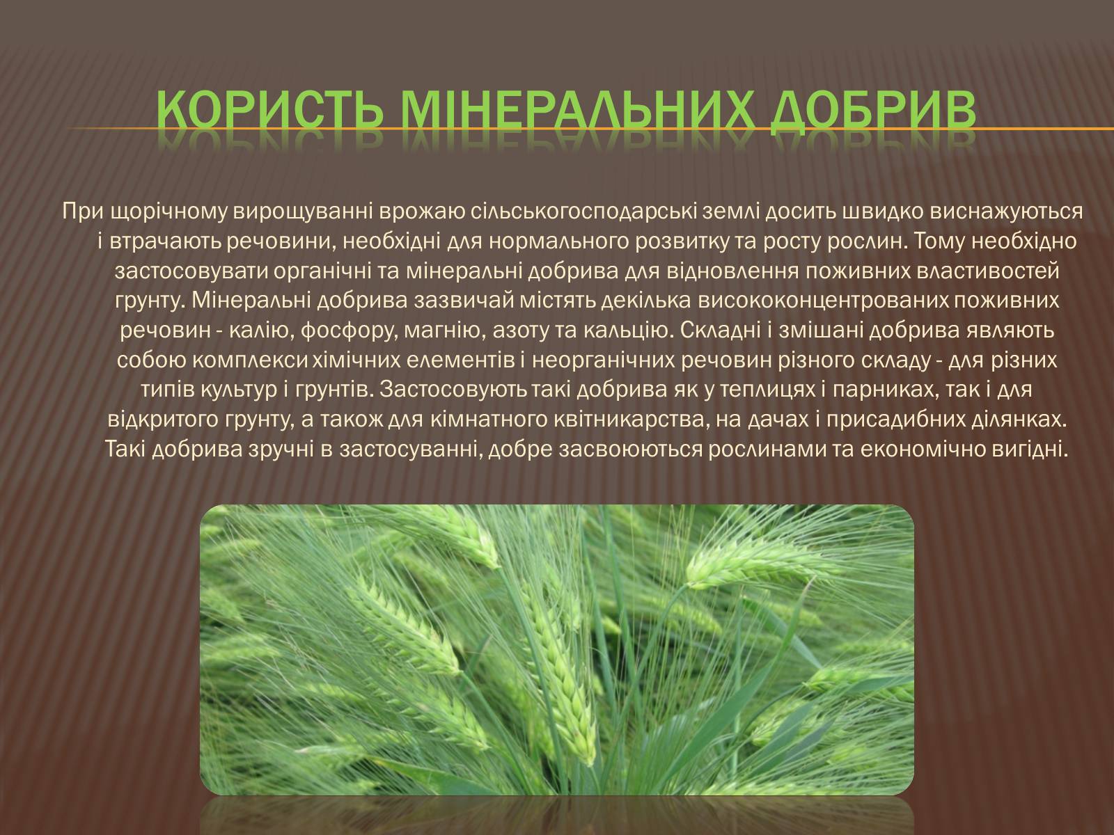 Презентація на тему «Шкода та користь мінеральних добрив» - Слайд #4