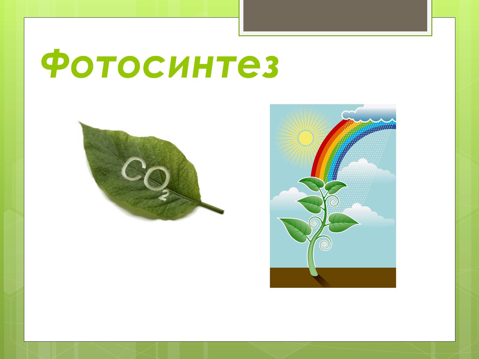 Презентація на тему «Колообіг Карбону в природі» (варіант 1) - Слайд #5