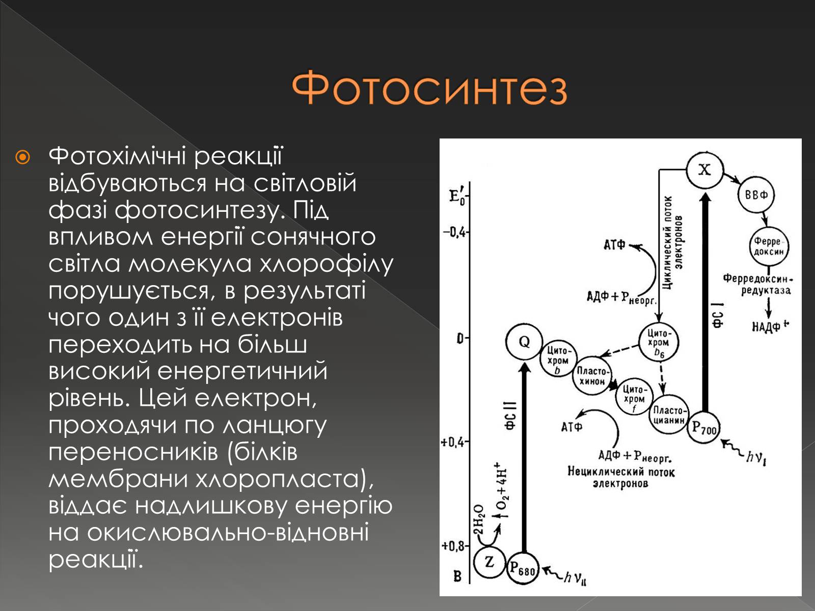 Презентація на тему «Хімічна дія світла» - Слайд #7