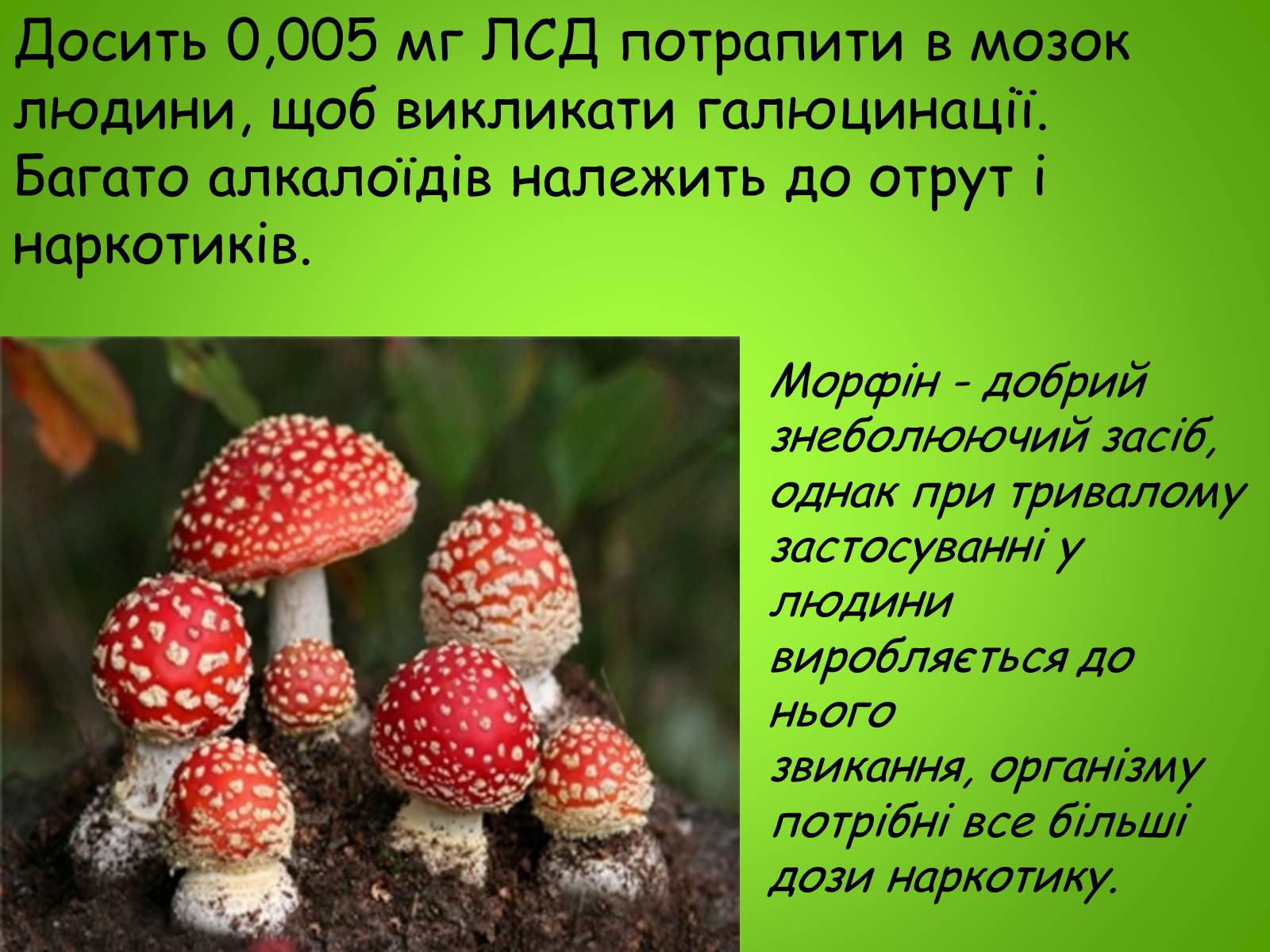 Презентація на тему «Хімія в медицині» (варіант 2) - Слайд #8