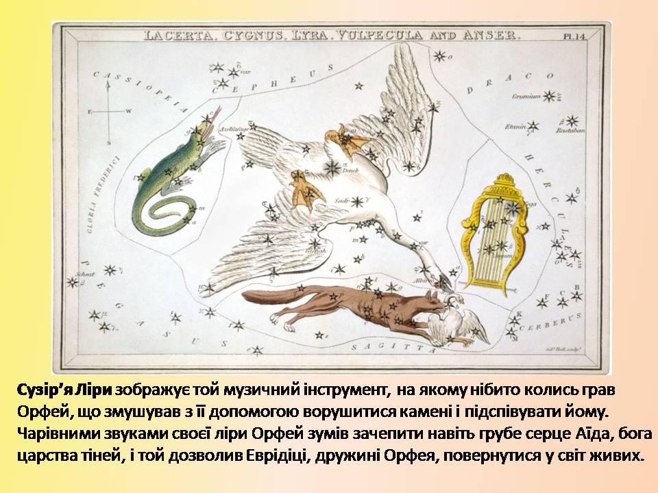 Презентація на тему «Легенди про сузір&#8217;я» (варіант 2) - Слайд #8