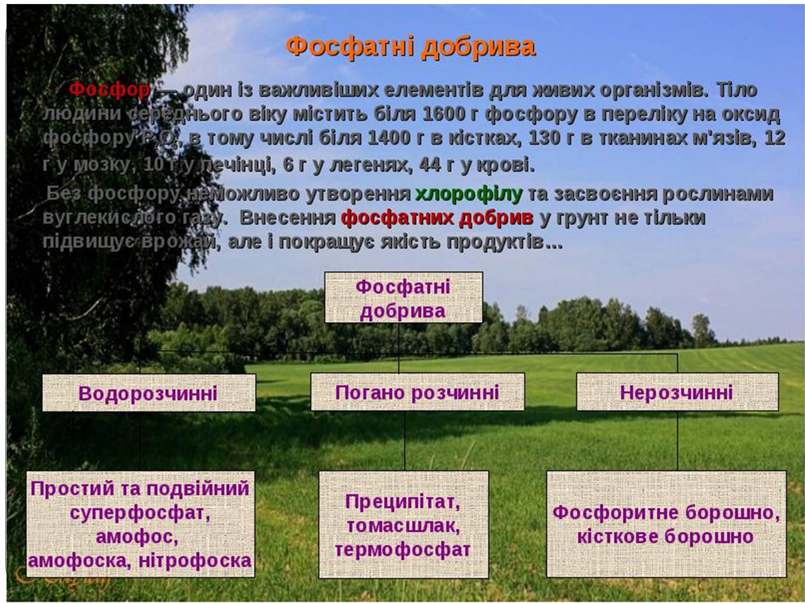 Презентація на тему «Фосфатні добрива у нашому житті» - Слайд #3