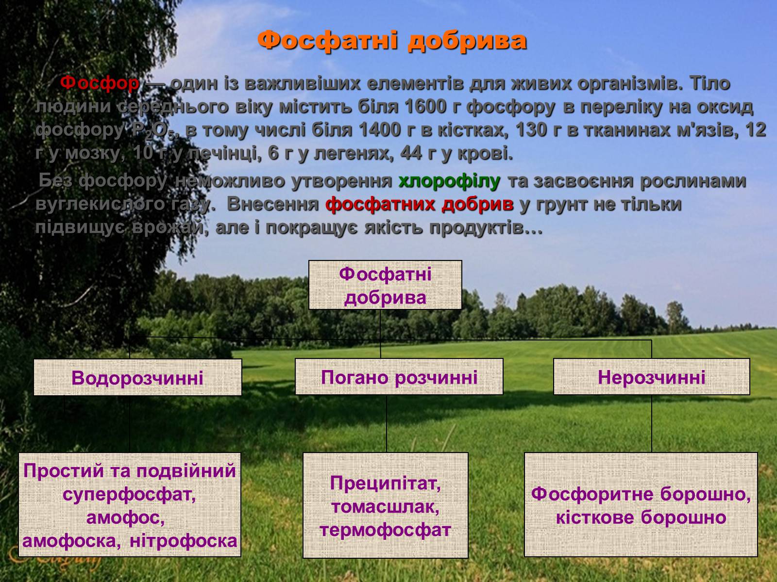 Презентація на тему «Мінеральні добрива» (варіант 5) - Слайд #9