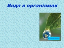 Презентація на тему «Вода в організмах» (варіант 1)