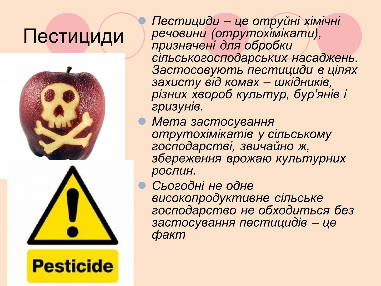 Презентація на тему «Пестециди в продуктах харчування» (варіант 1) - Слайд #2