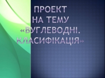 Презентація на тему «Вуглеводи як компоненти їжі, їх роль у житті людини» (варіант 23)