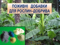 Презентація на тему «Поживні добавки для рослин – ДОБРИВА»