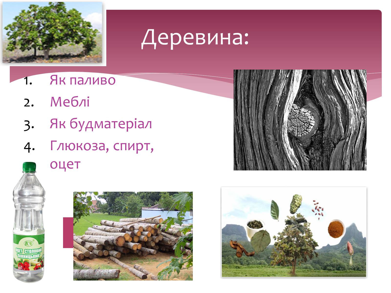 Презентація на тему «Значення хімії у розв&#8217;язанні сировинної проблеми» (варіант 1) - Слайд #5