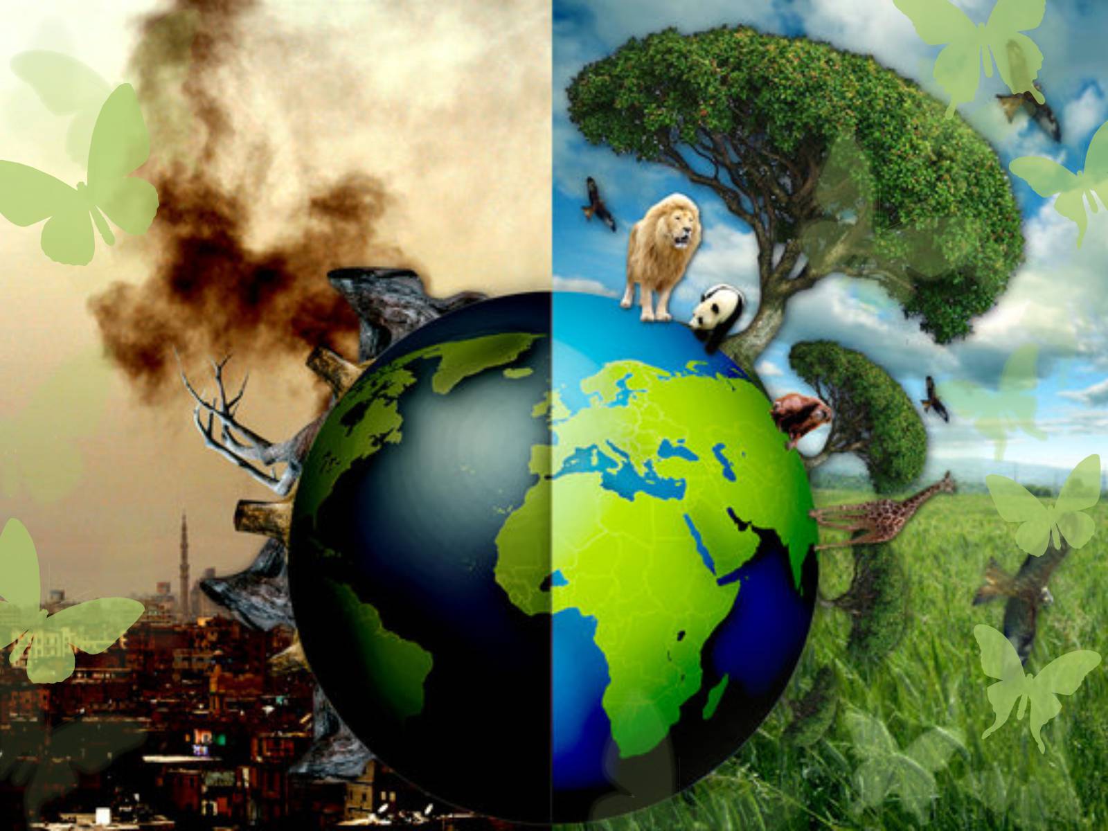 Презентація на тему «Save Our Planet» - Слайд #2