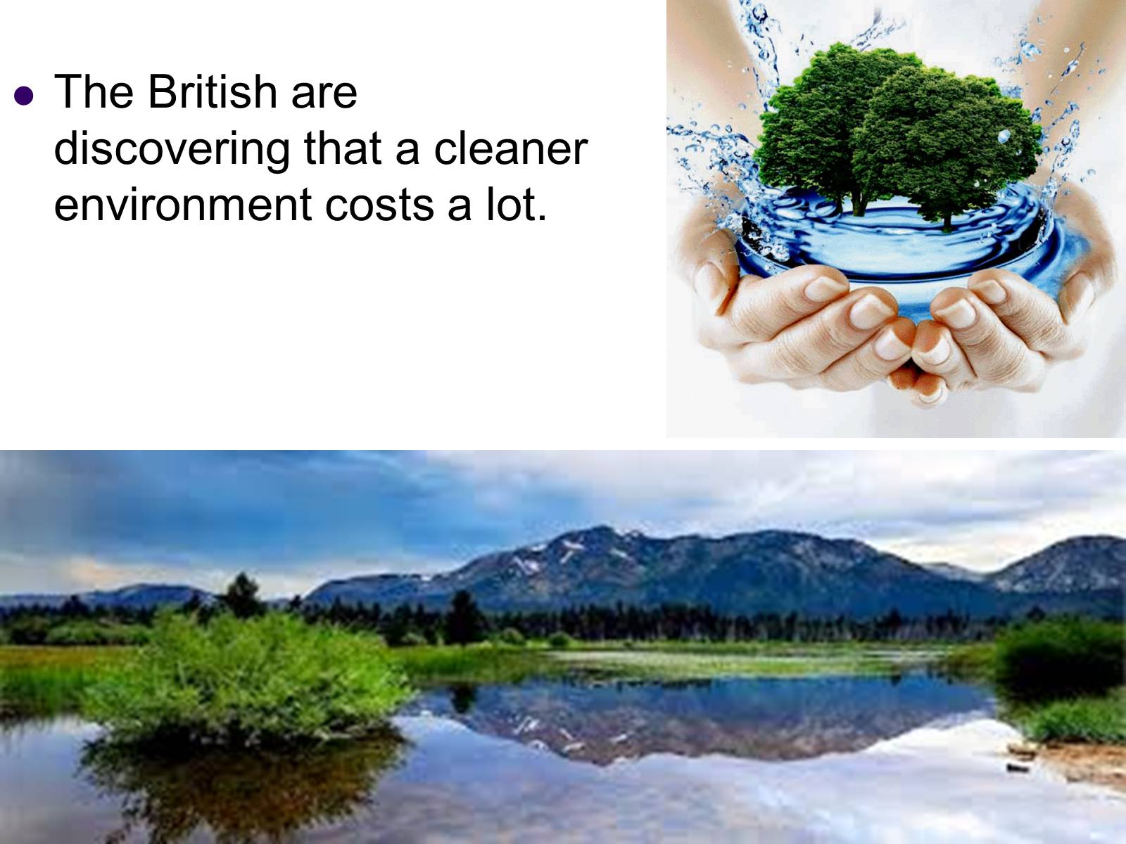 Презентація на тему «Ecological problems in Great Britain» - Слайд #12