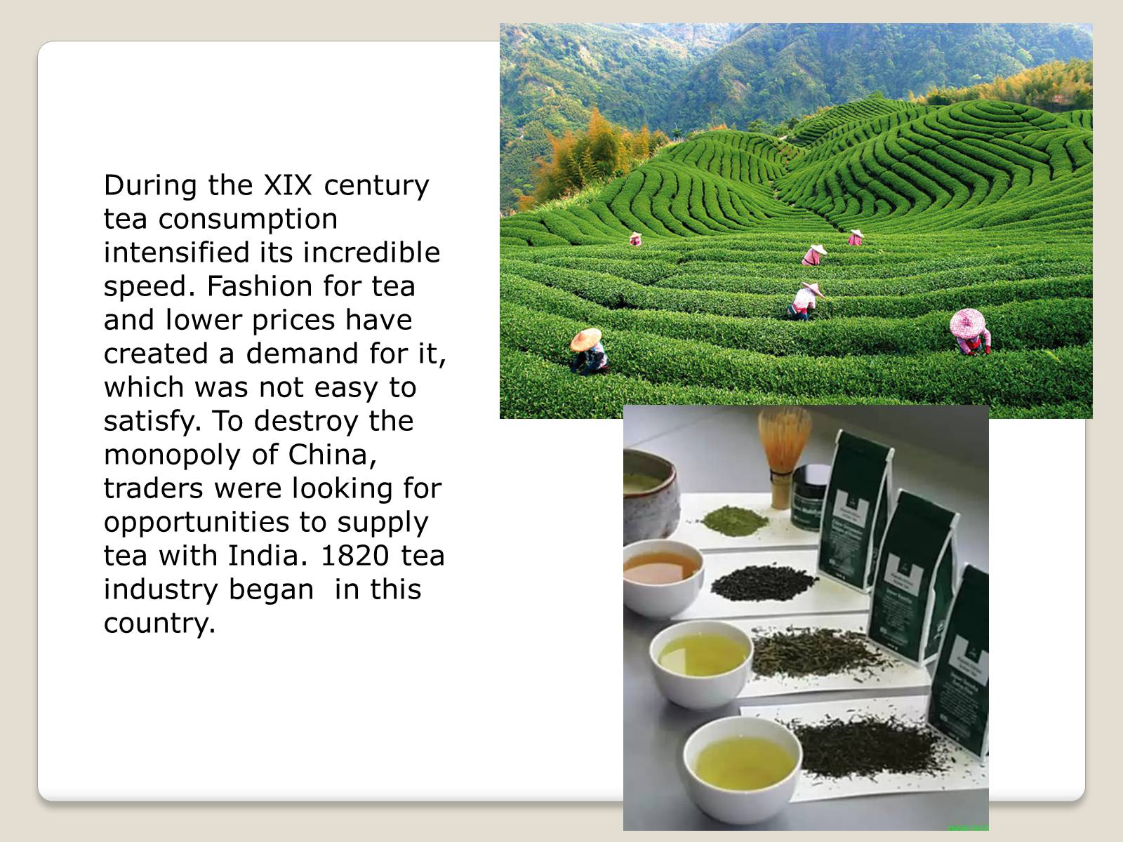 Презентація на тему «History of tea» - Слайд #5