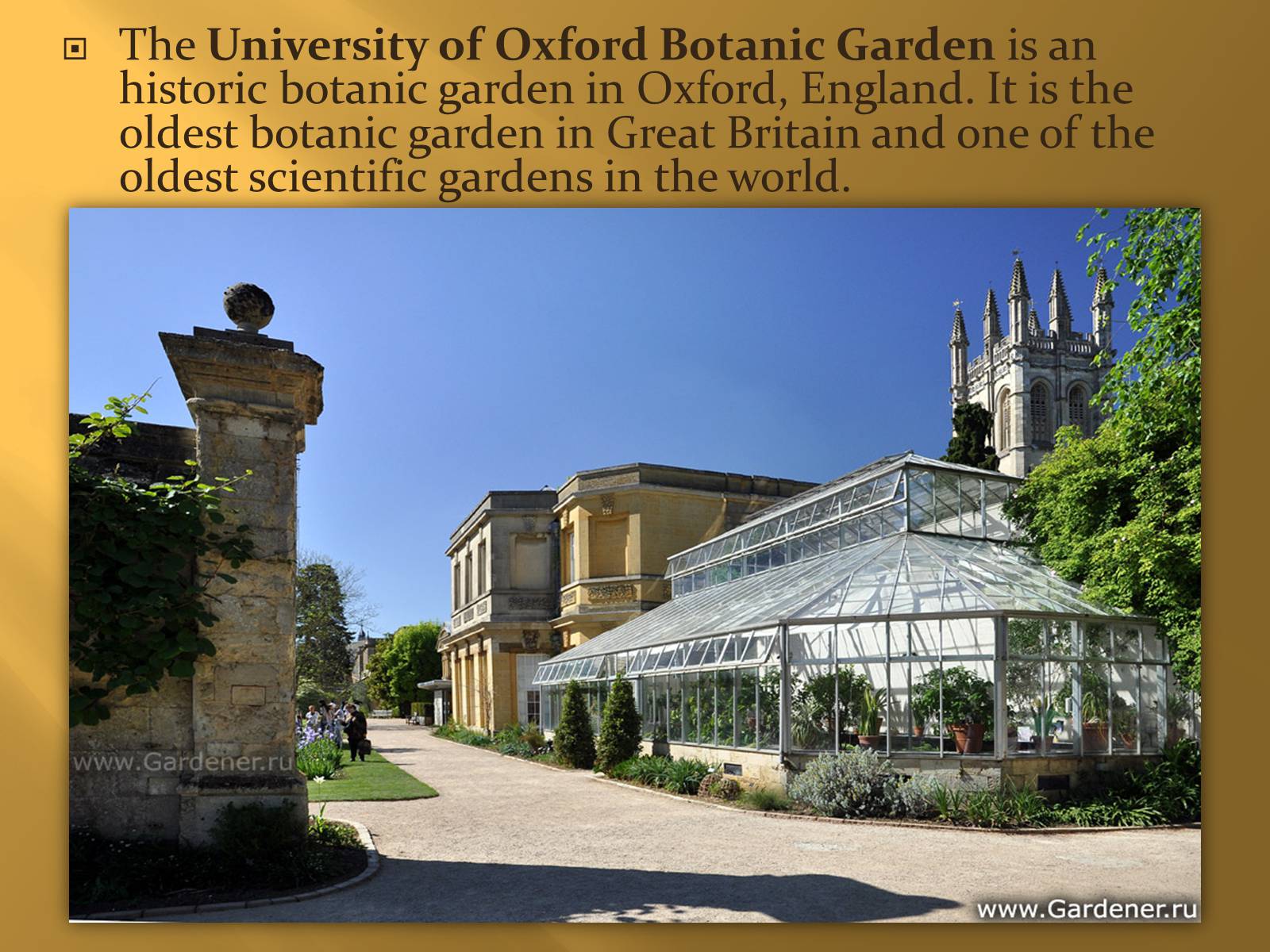 Презентація на тему «Oxford» (варіант 1) - Слайд #9