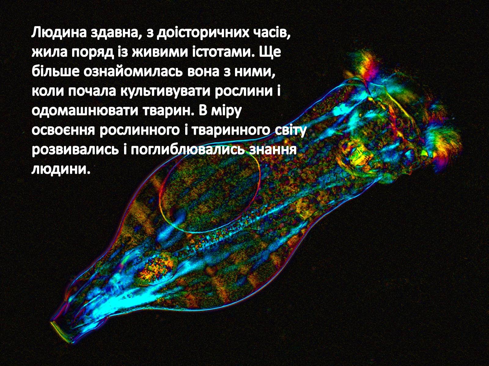 Презентація на тему «Значення біології в житті людини» - Слайд #7