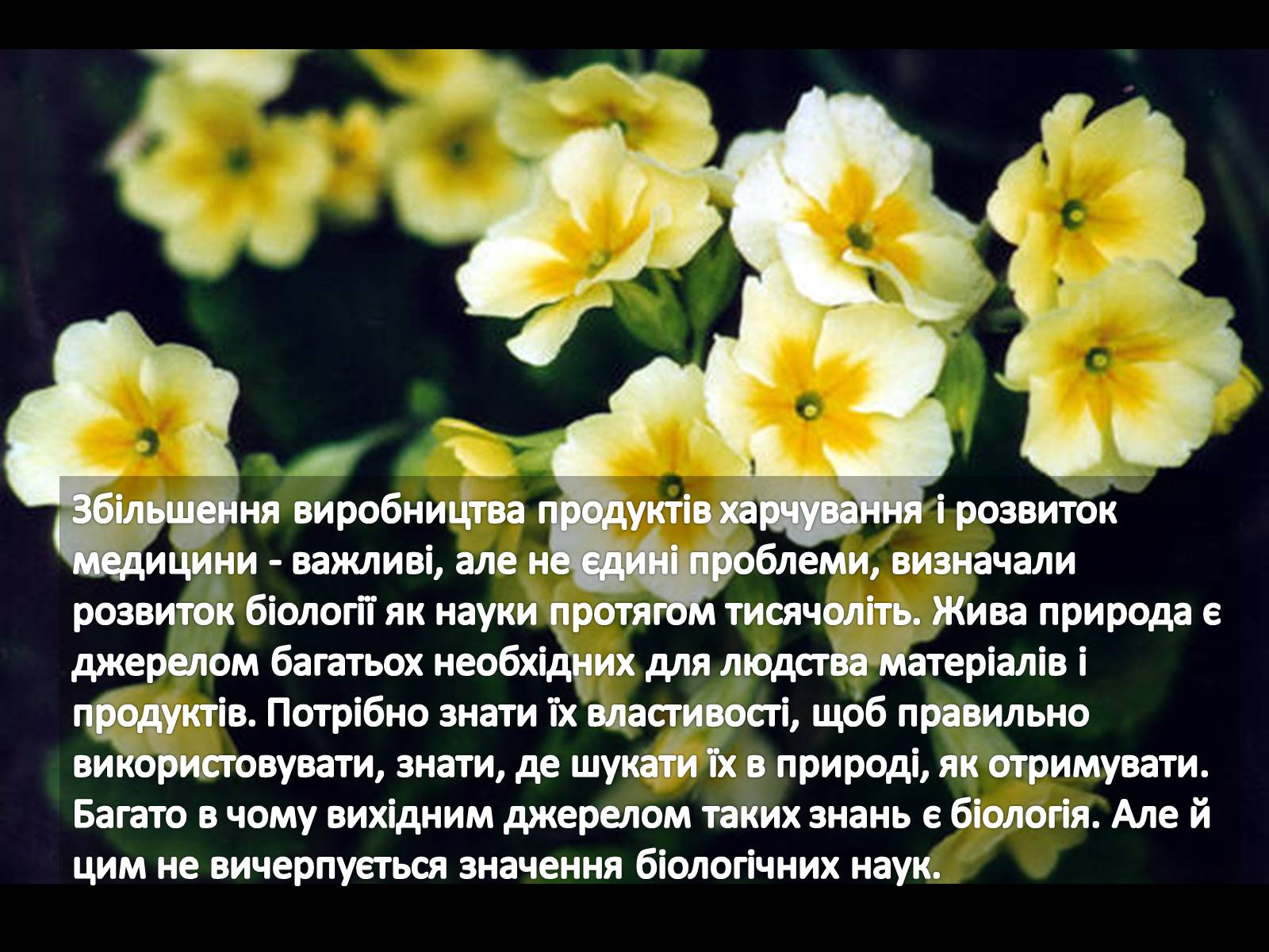 Презентація на тему «Значення біології в житті людини» - Слайд #8