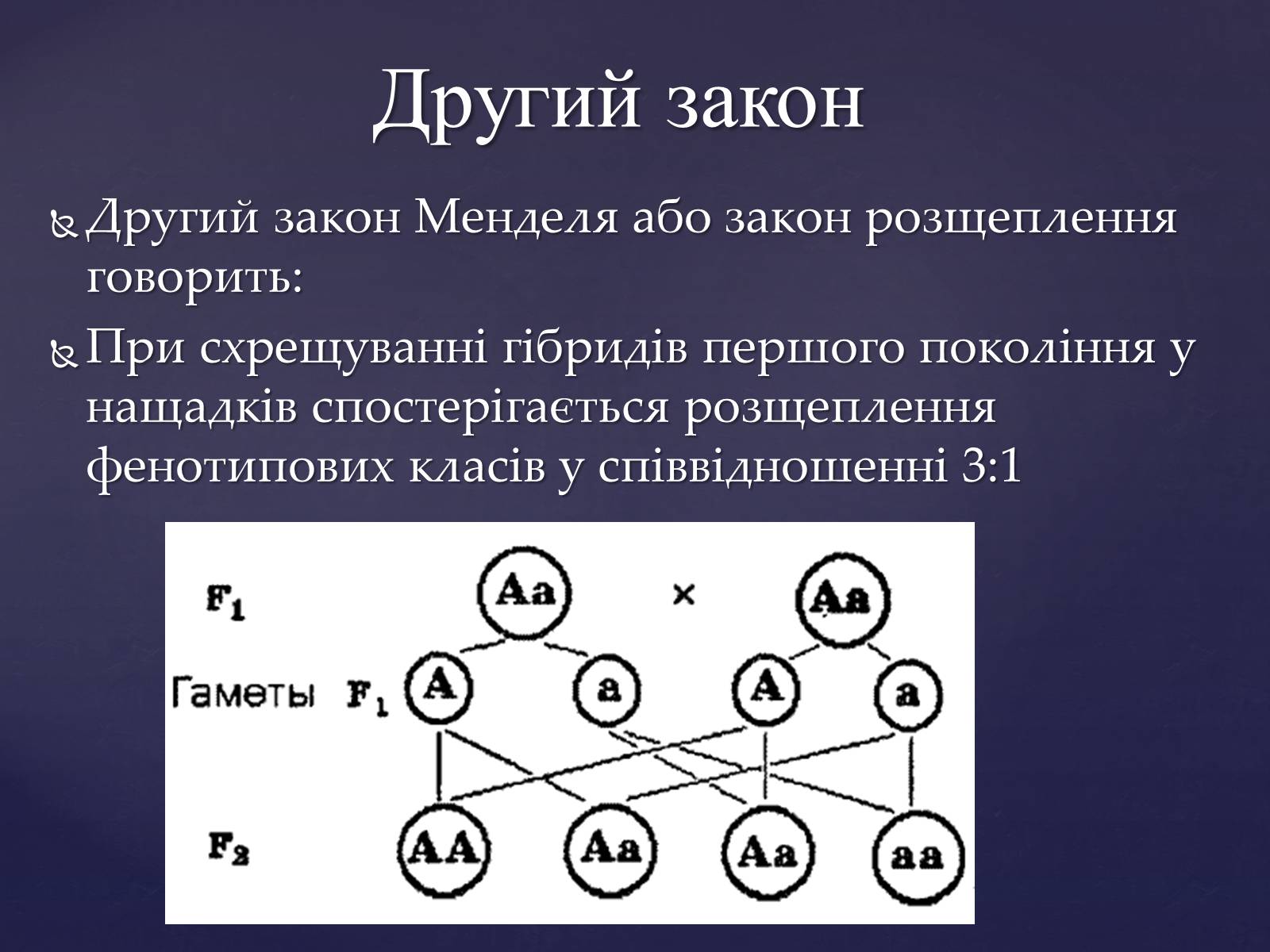 Презентація на тему «Закони Менделя» - Слайд #8