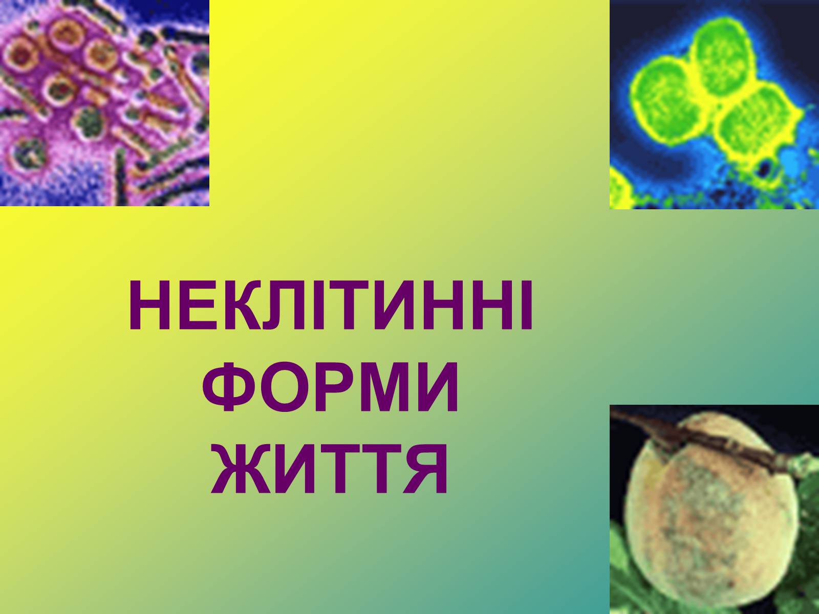 Презентація на тему «Віруси» (варіант 1) - Слайд #1