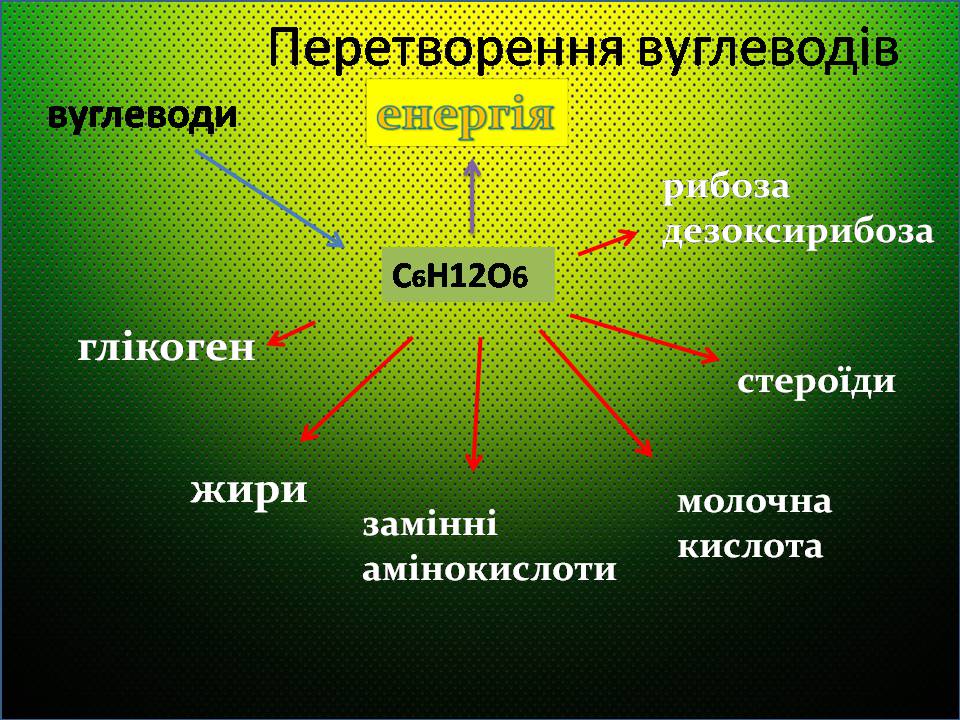 Презентація на тему «Жири, вуглеводи, білки, вітаміни як компоненти їжі» (варіант 2) - Слайд #16