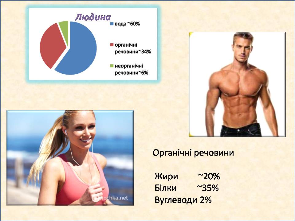 Презентація на тему «Жири, вуглеводи, білки, вітаміни як компоненти їжі» (варіант 2) - Слайд #2