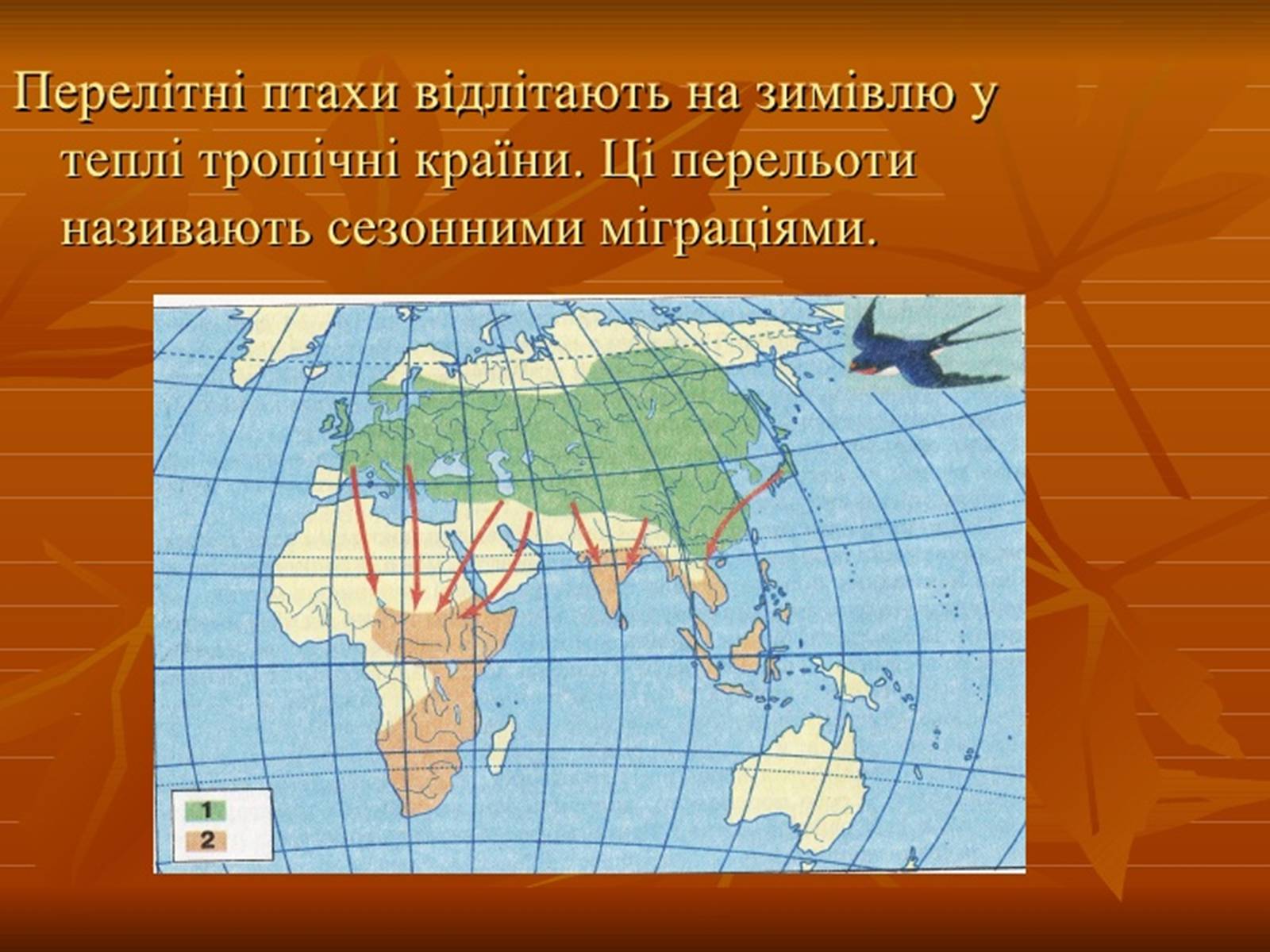 Презентація на тему «Перелітні птахи» - Слайд #10