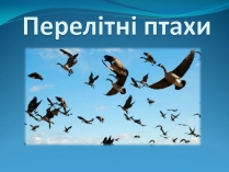 Презентація на тему «Перелітні птахи»