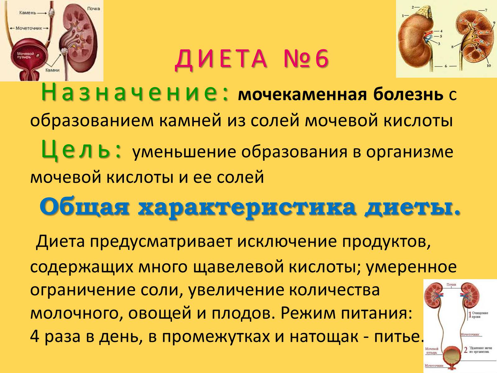 Презентація на тему «Лечебное питание» - Слайд #48