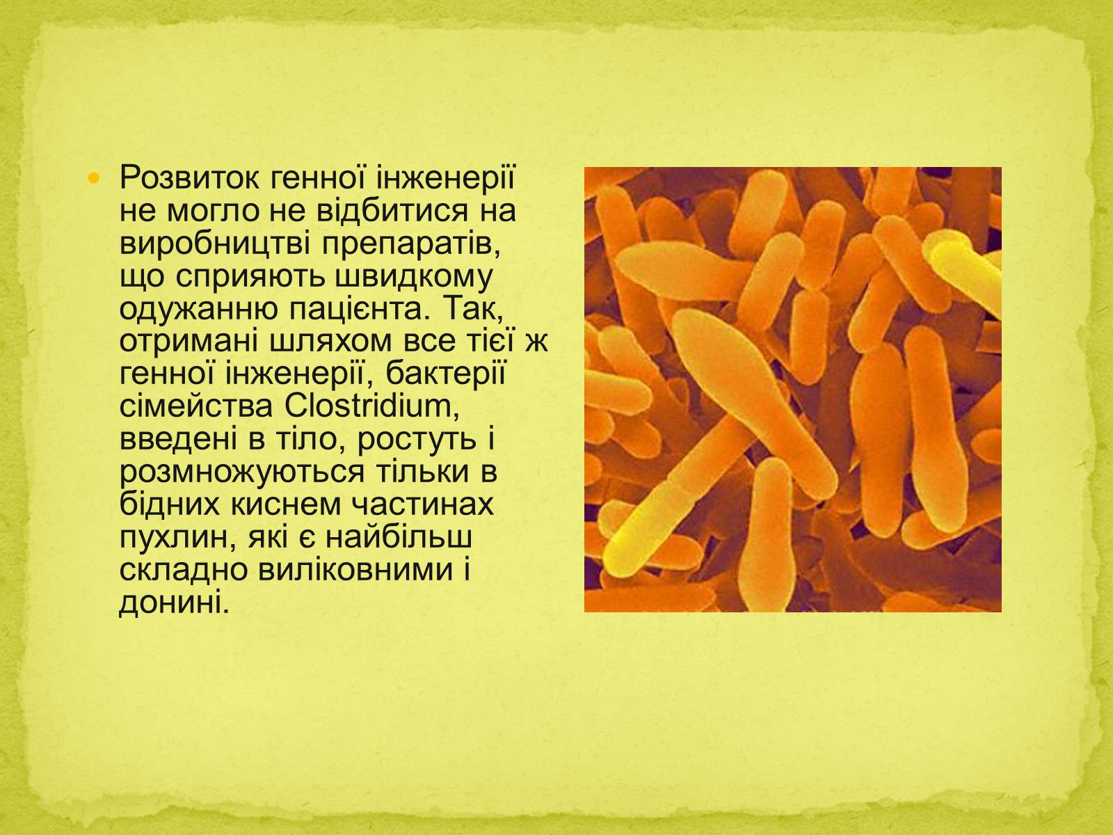 Презентація на тему «Біотехнології, завдання та методи генної та клітинної інженерії, клонування» - Слайд #15