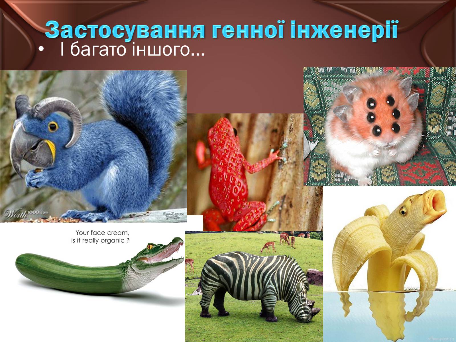 Презентація на тему «Досягнення сучасної біотехнології» - Слайд #13