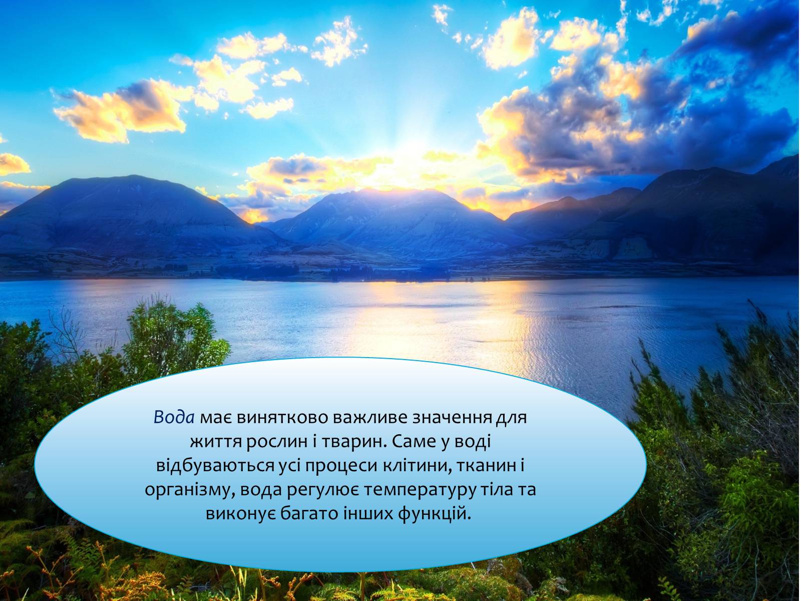 Презентація на тему «Наземно-повітряне середовище існування» (варіант 4) - Слайд #17