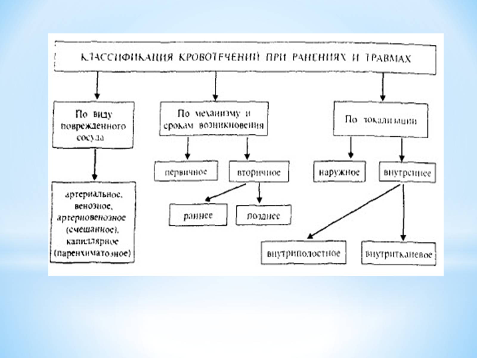 Презентація на тему «Кровоносна система» (варіант 1) - Слайд #21