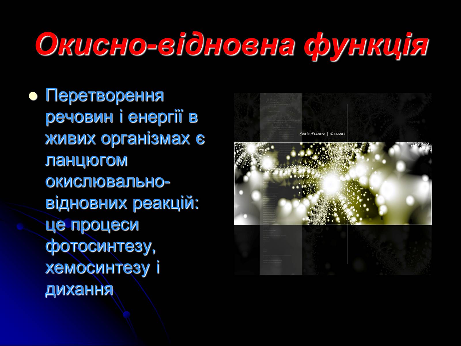 Презентація на тему «Біосфера» (варіант 10) - Слайд #31