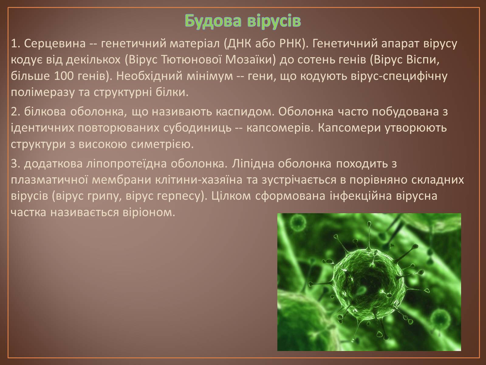 Презентація на тему «Роль вірусів у природі і житті людини» (варіант 1) - Слайд #3