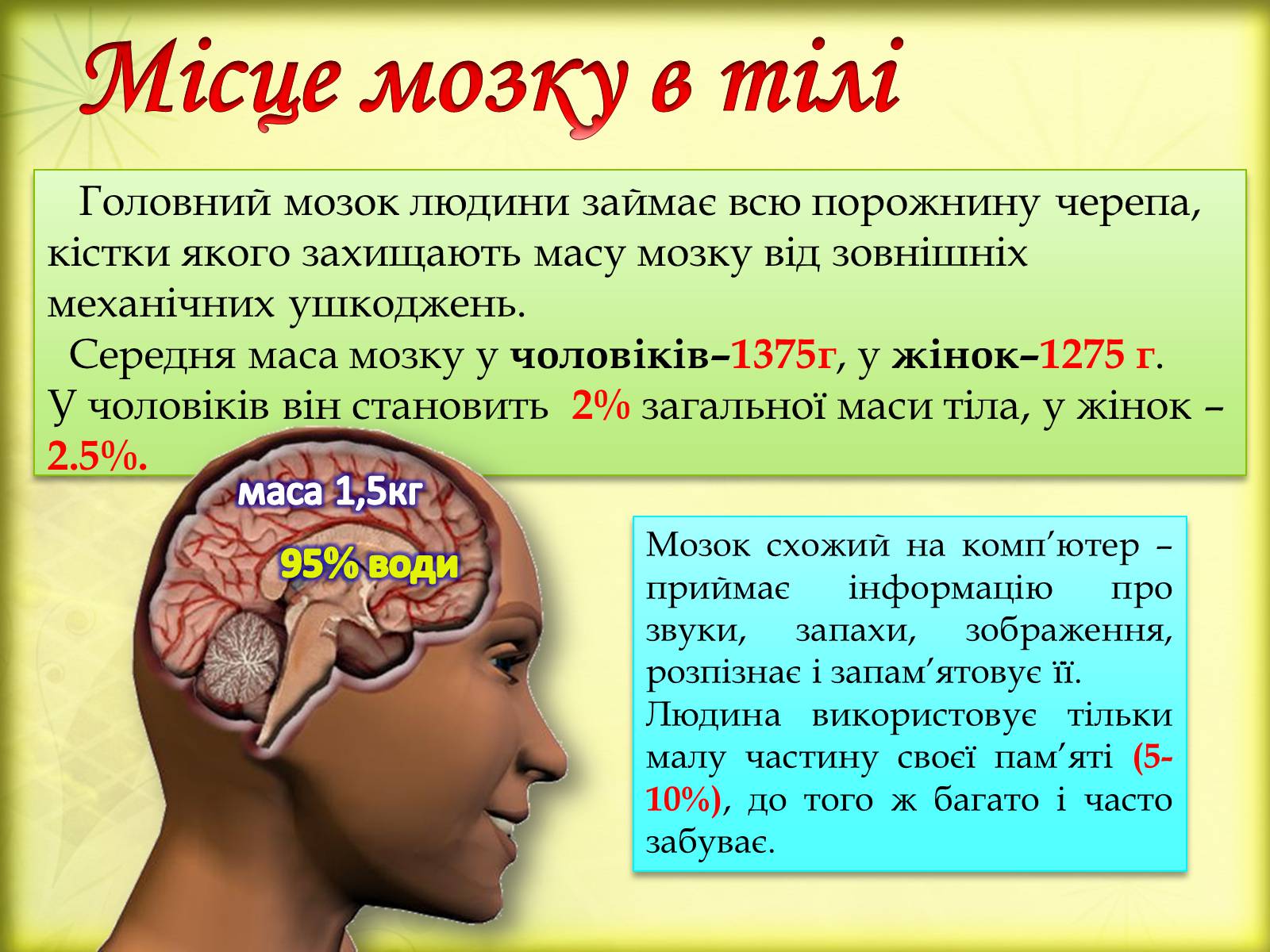 Презентація на тему «Головний мозок» (варіант 3) - Слайд #4
