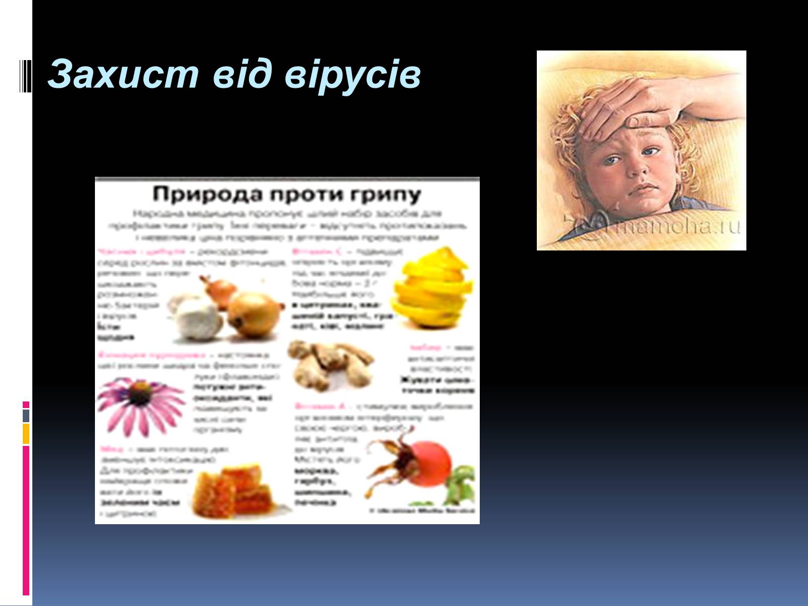 Презентація на тему «Вірусні захворювання» (варіант 4) - Слайд #9