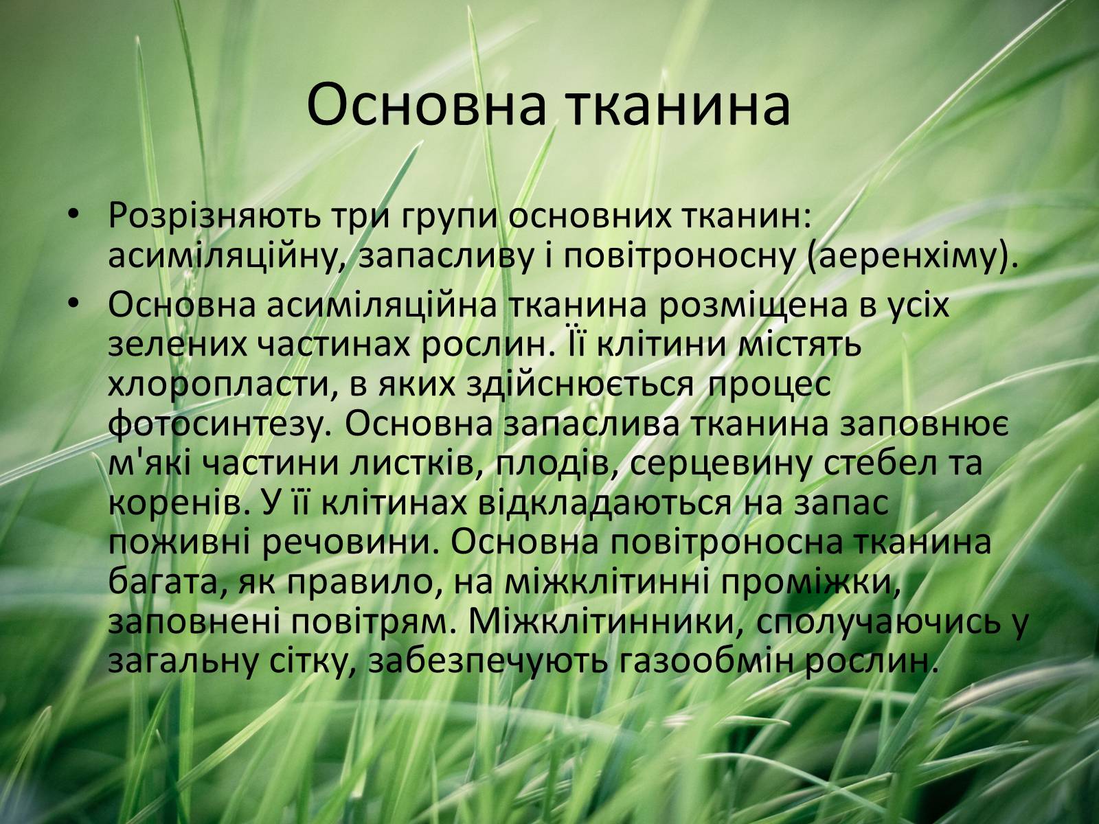 Презентація на тему «Тканини рослин» - Слайд #13