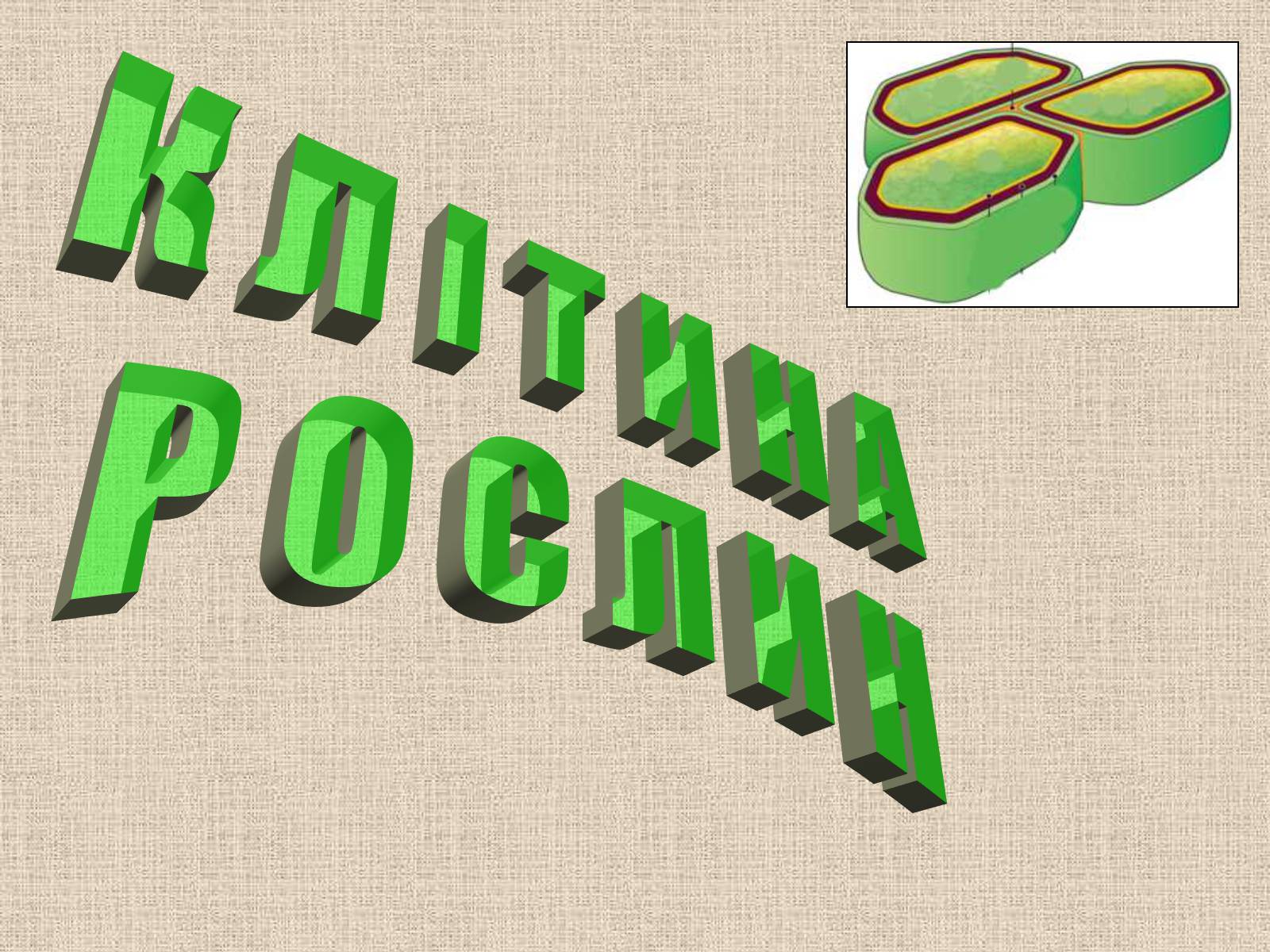 Презентація на тему «Клітина Рослини» - Слайд #1