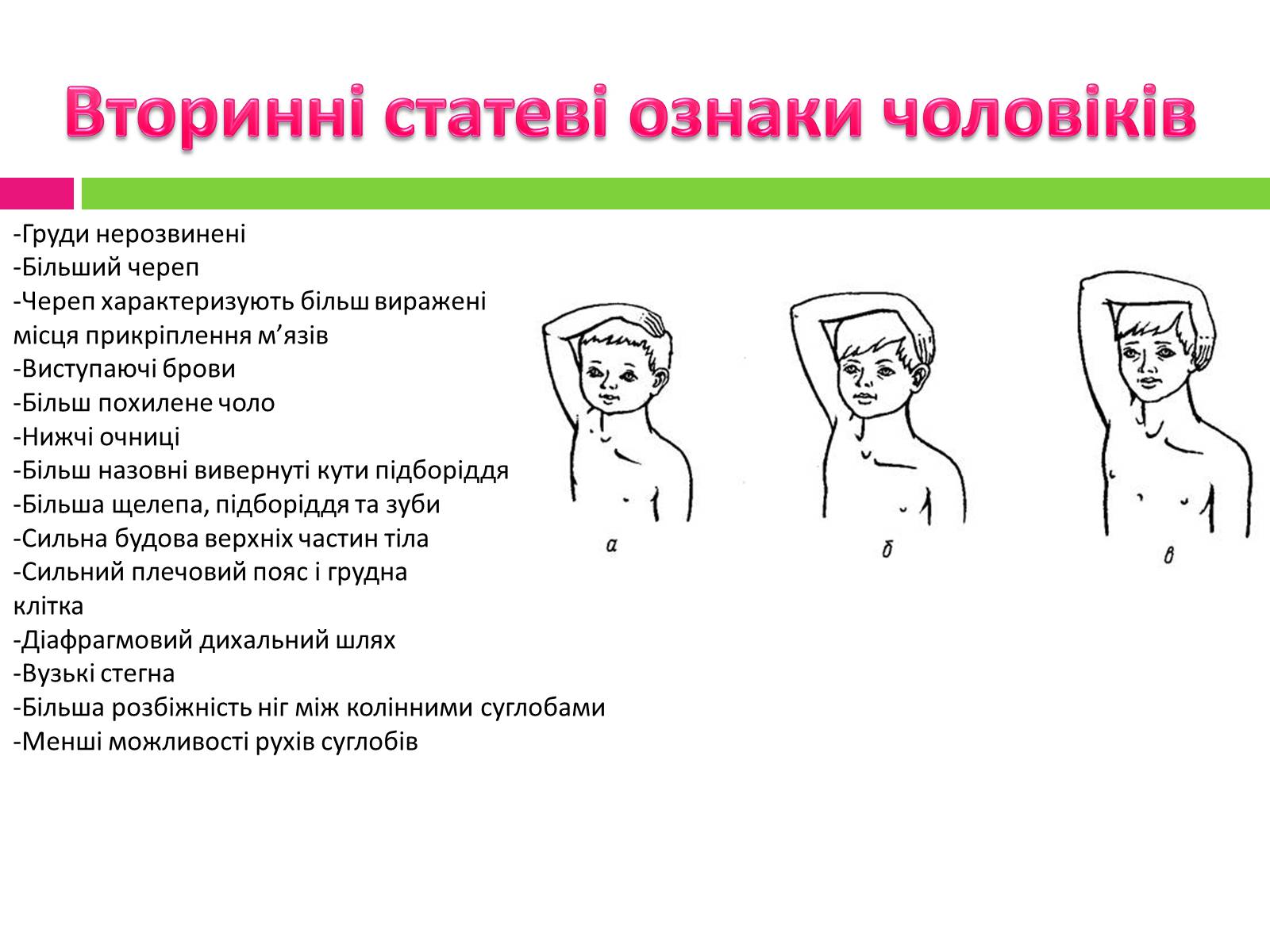 Презентація на тему «Статеве розмноження людини» - Слайд #11