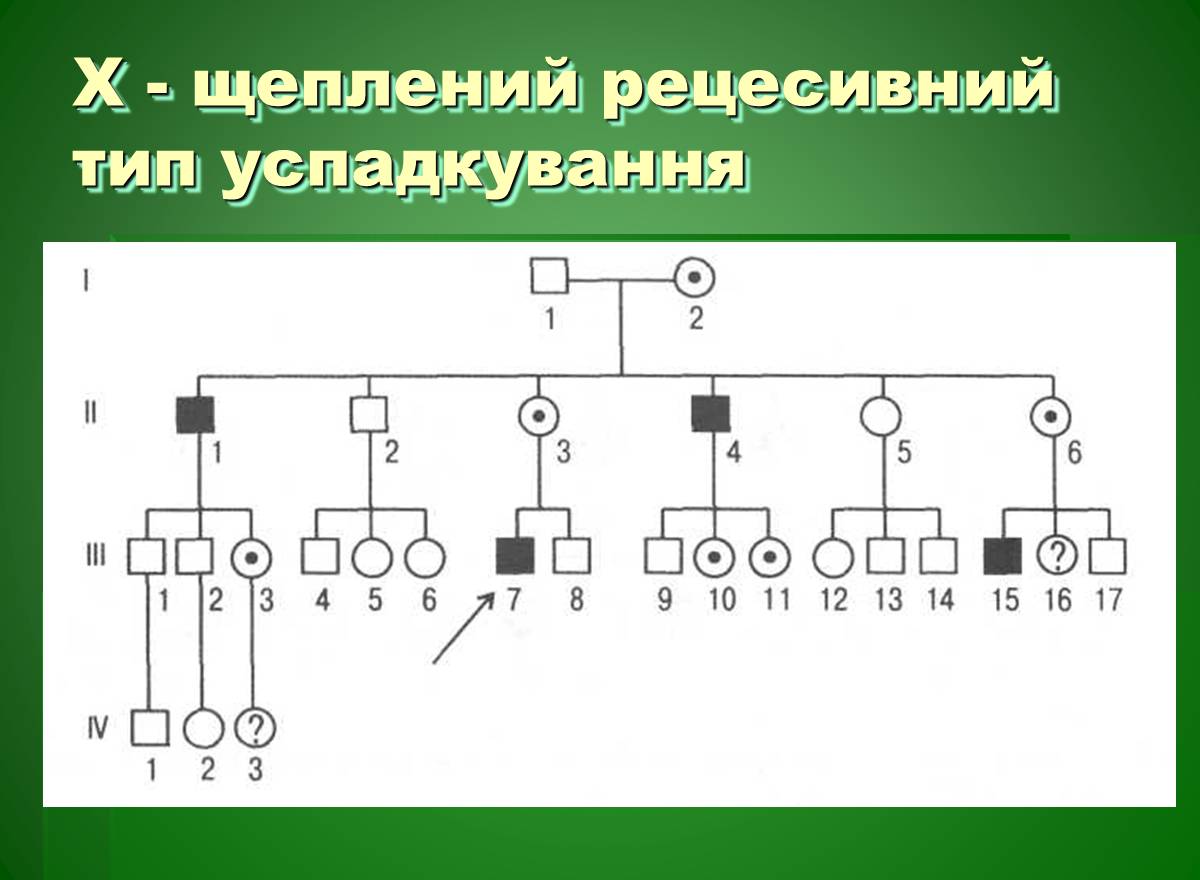 Презентація на тему «Основи медичної генетики» - Слайд #10