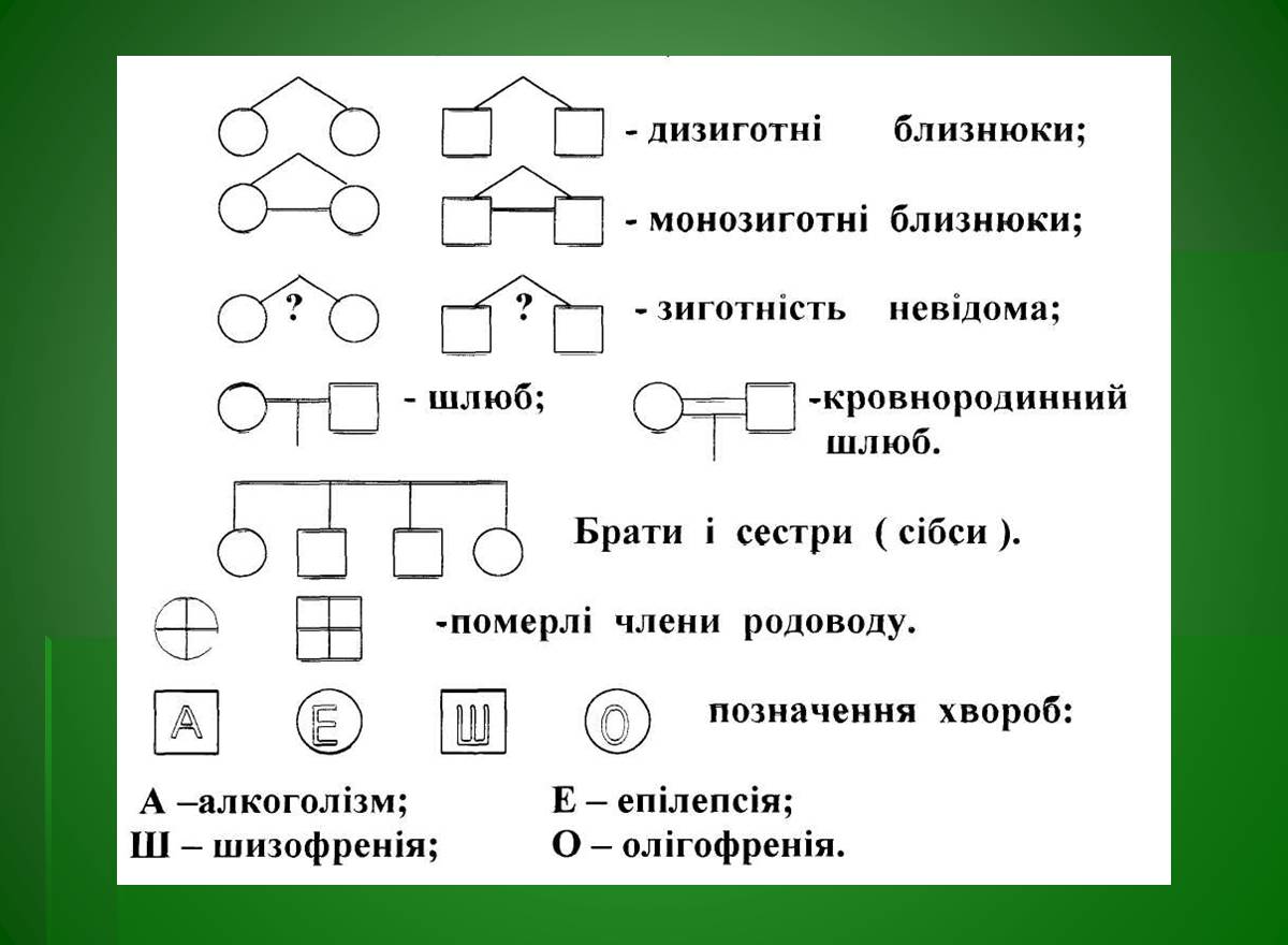 Презентація на тему «Основи медичної генетики» - Слайд #7