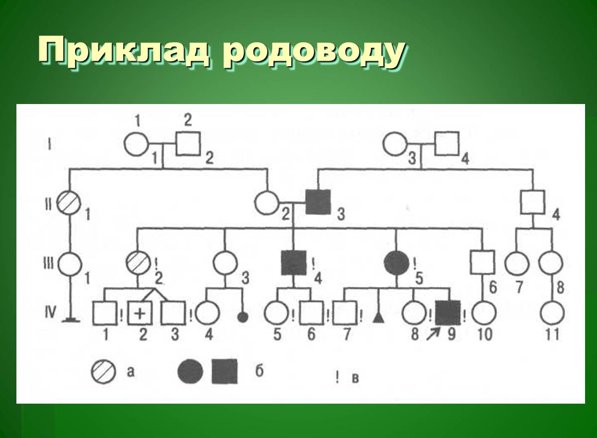 Презентація на тему «Основи медичної генетики» - Слайд #8