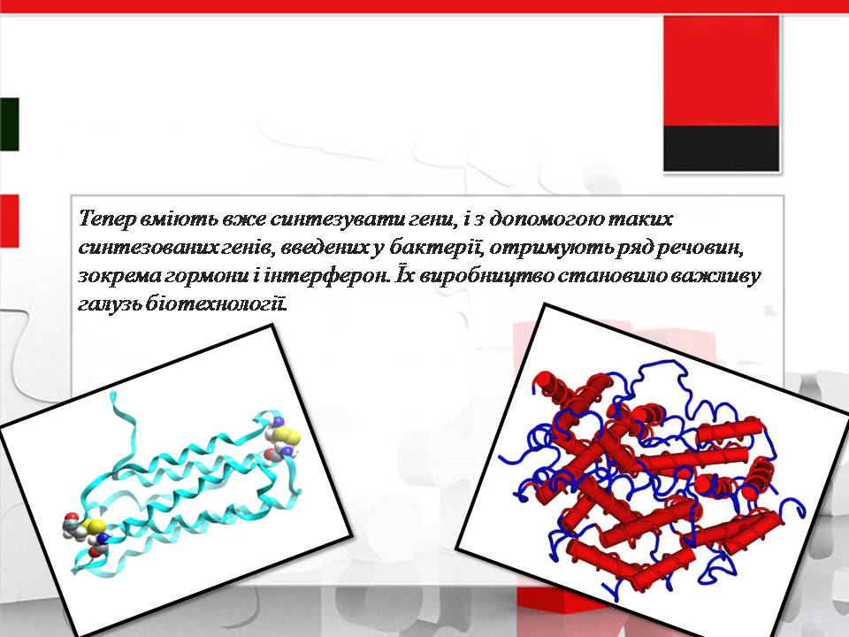 Презентація на тему «Генна інженерія» (варіант 11) - Слайд #10