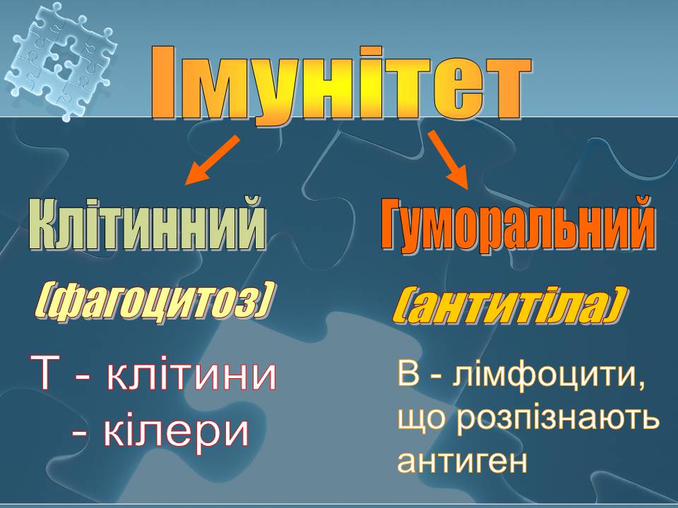 Презентація на тему «Імунітет» (варіант 4) - Слайд #7