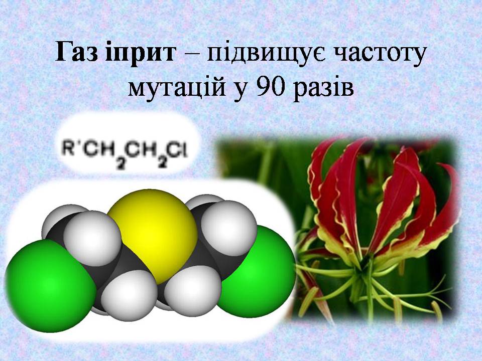 Презентація на тему «Типи мутацій. Мутагени» - Слайд #34