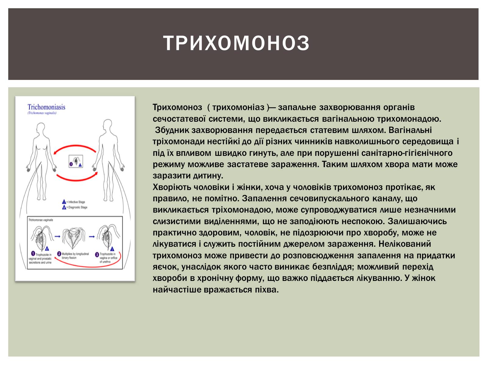 Презентація на тему «Захворювання статевих органів та їх запобігання» - Слайд #8