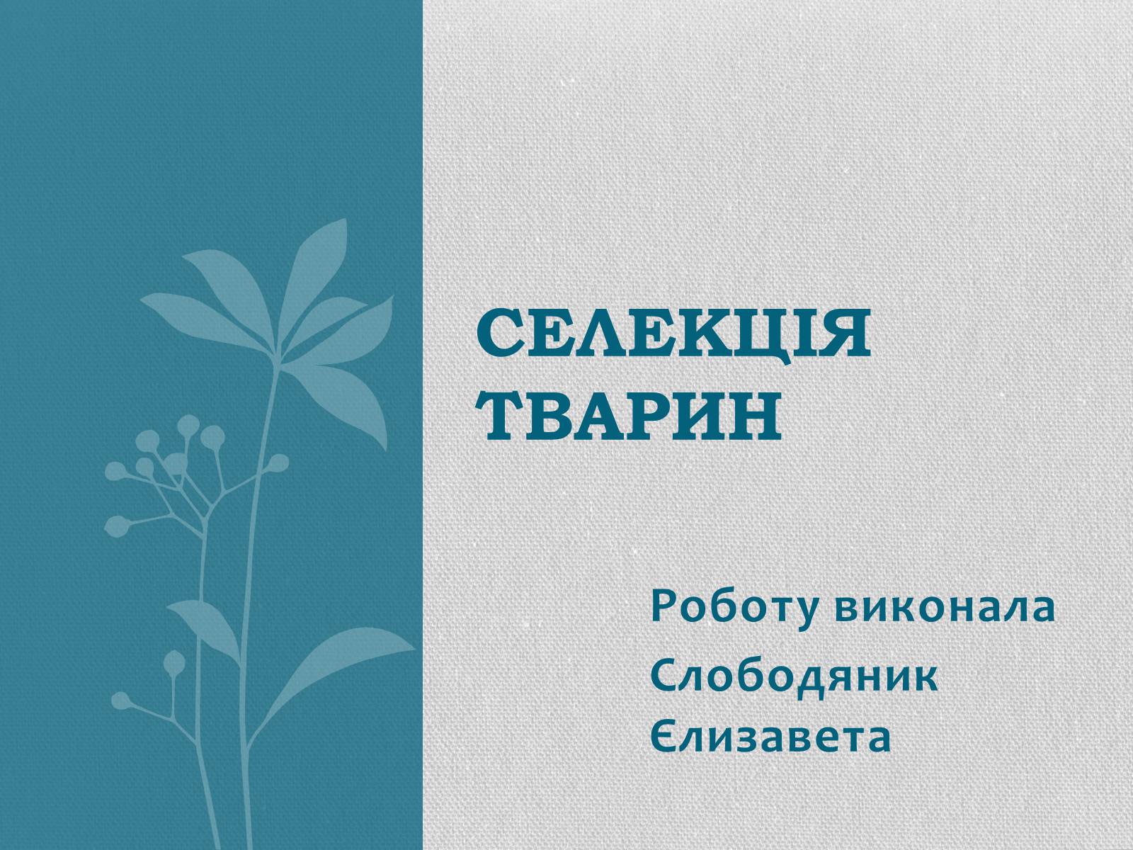 Презентація на тему «Селекція тварин» (варіант 2) - Слайд #1