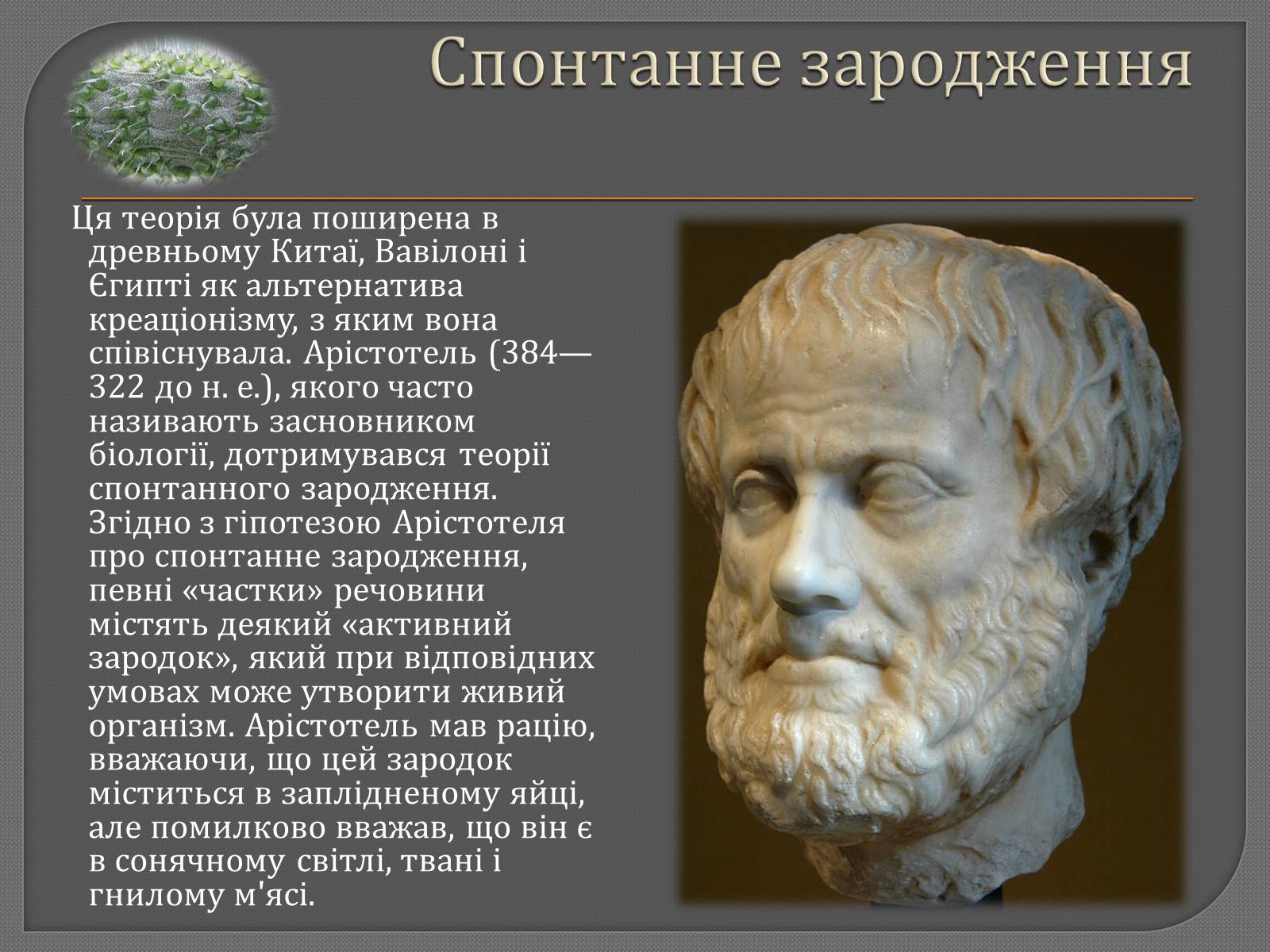 Презентація на тему «Теорії походження життя» - Слайд #5