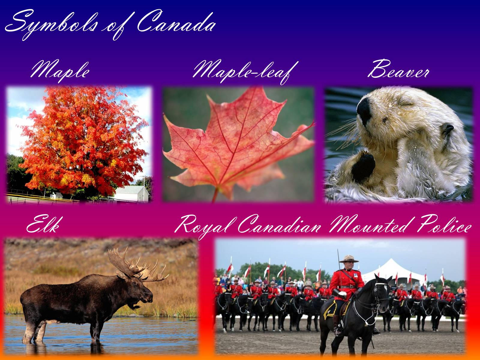 Презентація на тему «Canada» (варіант 1) - Слайд #11