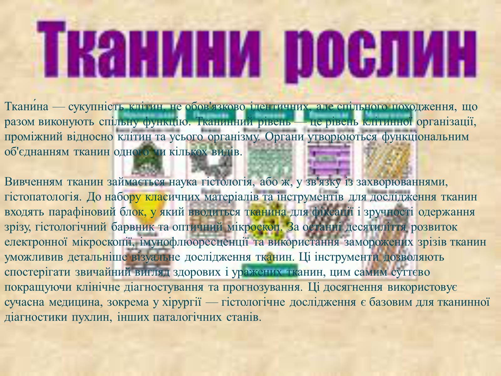 Презентація на тему «Багатоклітинні організми» - Слайд #8