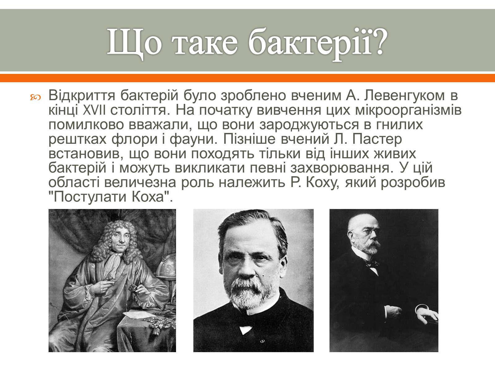 Презентація на тему «Бактерії в житті людини» - Слайд #3