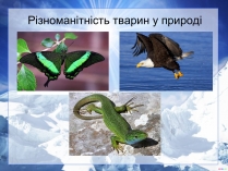 Презентація на тему «Різноманітність тварин у природі»