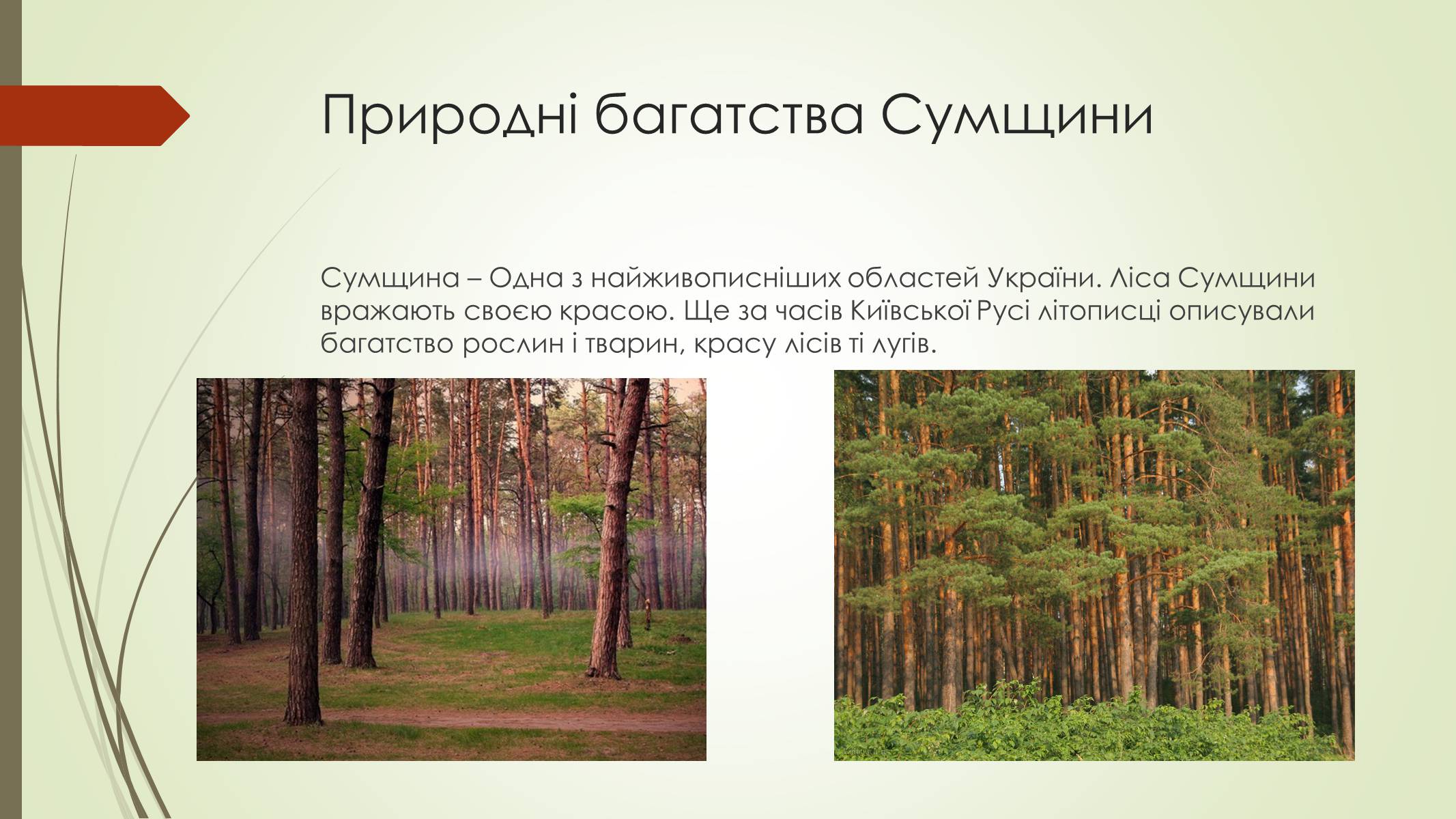 Презентація на тему «Рослини і тварини Сумщини занесені до Червоної книги України» - Слайд #2